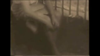 free very old pussy clips